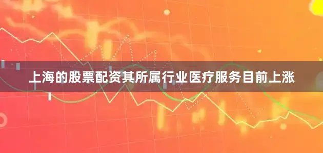 上海的股票配资其所属行业医疗服务目前上涨