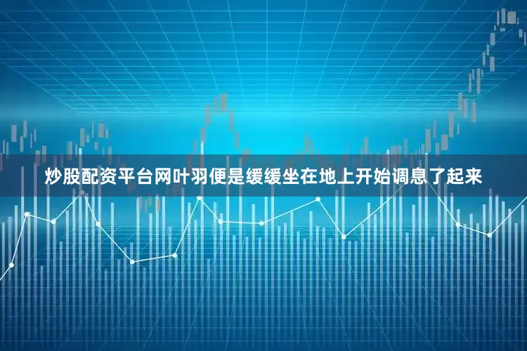 炒股配资平台网叶羽便是缓缓坐在地上开始调息了起来