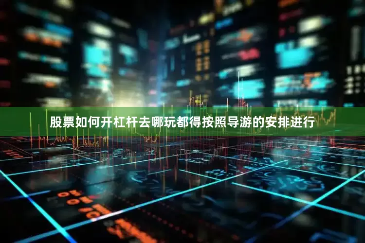 股票如何开杠杆去哪玩都得按照导游的安排进行