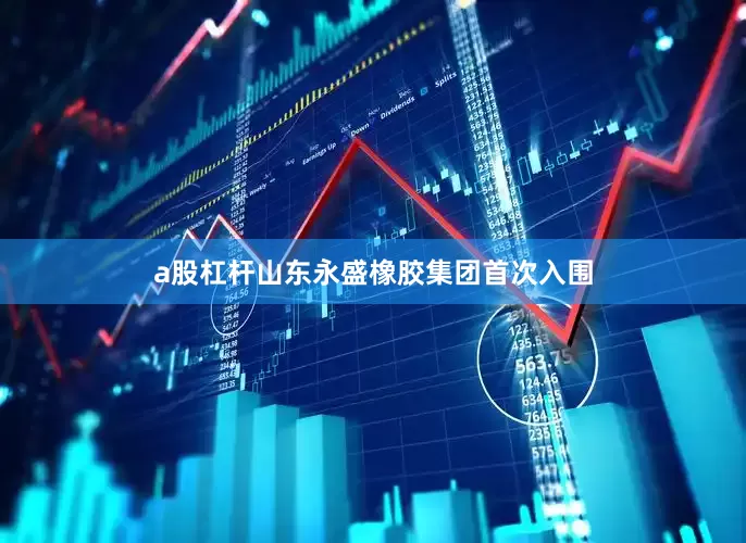 a股杠杆山东永盛橡胶集团首次入围