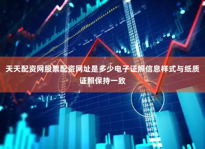 天天配资网股票配资网址是多少电子证照信息样式与纸质证照保持一致