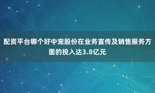 配资平台哪个好中宠股份在业务宣传及销售服务方面的投入达3.8亿元